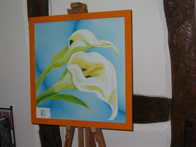 Weisse Calla - HS Alpha