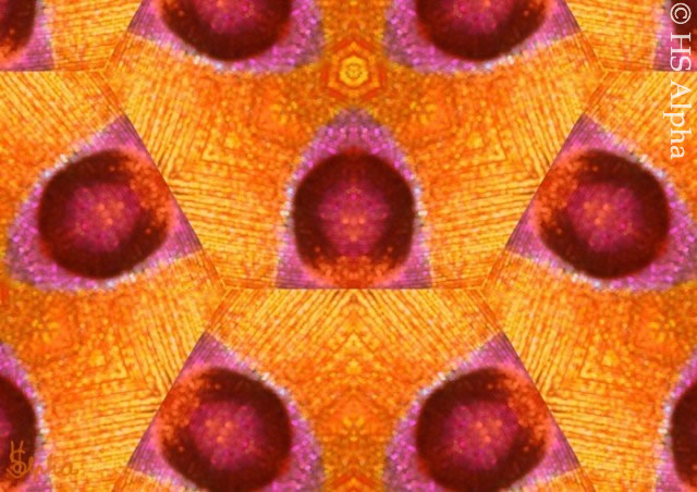 Peacockart - hsalpha