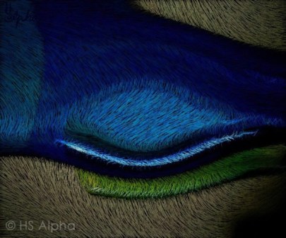 ruhendes Auge - hs alpha